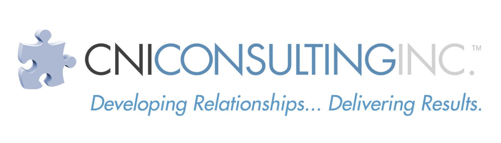 CNI Consulting Inc